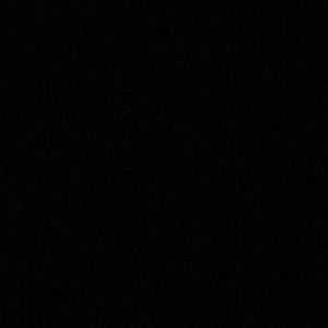 Meet your Posher, Rodney